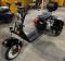 Электротрицикл Электроскутер электробайк Citycoco Pro Trike 3000 Lux